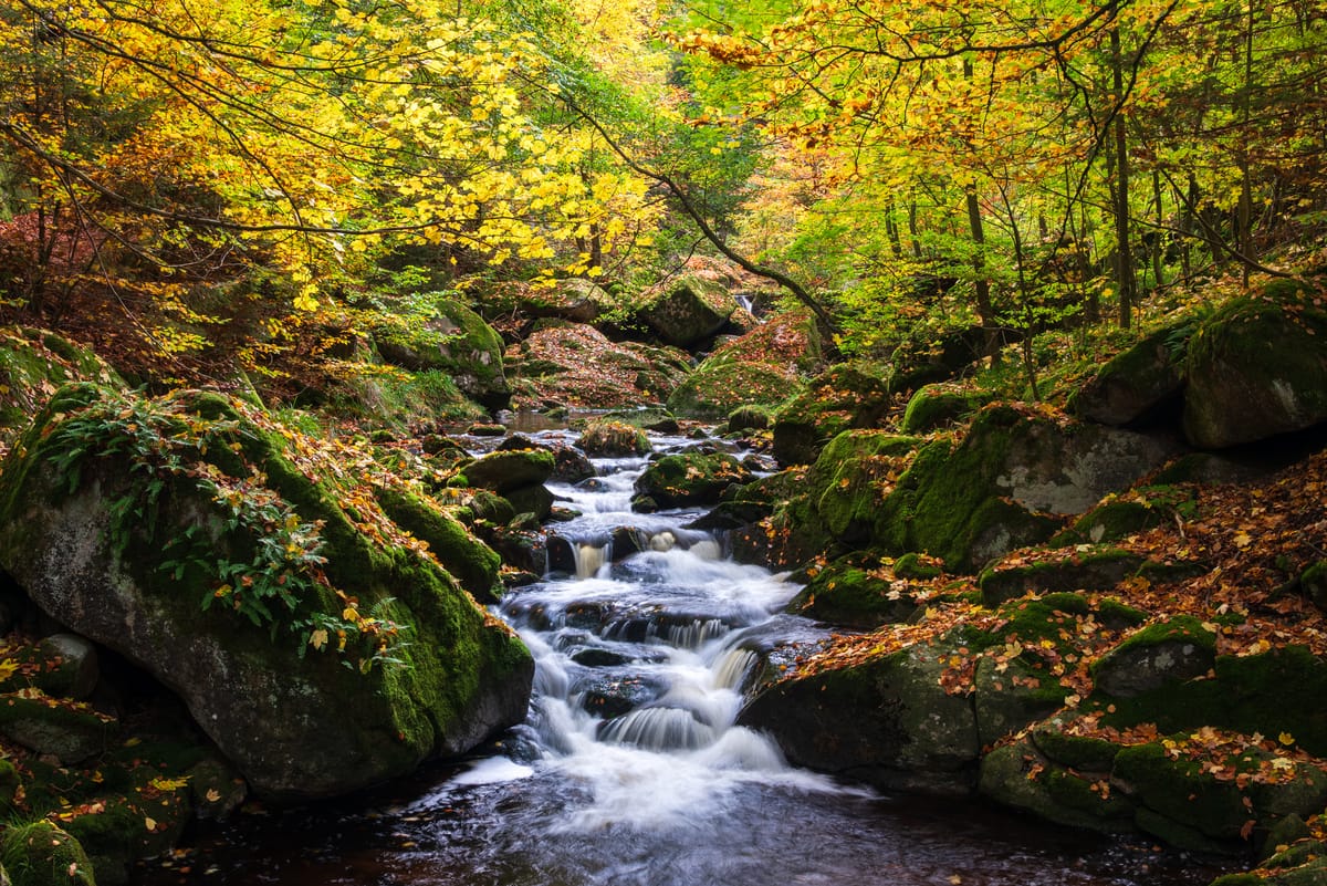 Herbst im Ilsetal