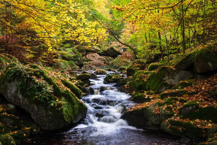 Herbst im Ilsetal